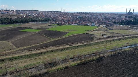 İklim Değişikliği ve Kuraklık Bitkilerin Hücre Yapılarında Bozulmaya Neden Oluyor