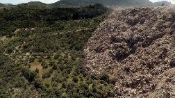 Hatay’da Molozlar Ormana ve Zeytinliğe Dökülüyor
