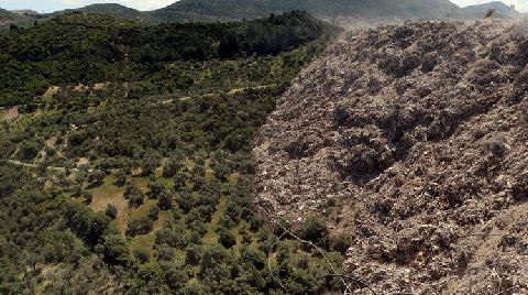 Hatay’da Molozlar Ormana ve Zeytinliğe Dökülüyor