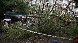 Ankara’da Şiddetli Rüzgar Ağaçları Devirdi, Çatıları Uçurdu