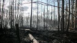Kanada'da Orman Yangınları Nedeniyle Binlerce Kişi Tahliye Edildi