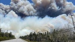 Kanada'da Orman Yangınlarında 3 Milyon Hektarlık Alan Zarar Gördü