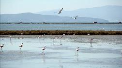 İzmir Kuş Cenneti'ne Su Sağlayan Kanallar Temizleniyor