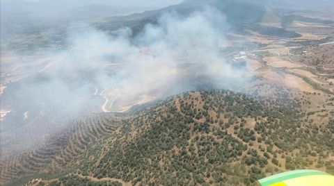 İzmir'de Tarlada Başlayan Yangın Ormana Sıçradı