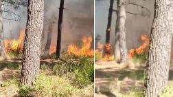 İstanbul’da Korkutan Orman Yangını