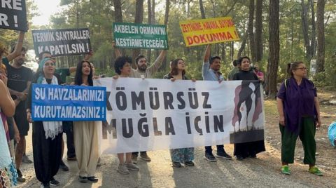 Akbelen'de Ağaçları Korumak için Mücadele Sürüyor