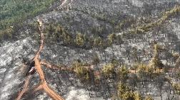 Kütahya'daki Orman Yangınında 180 Hektar Alan Zarar Gördü