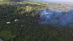 Hawaii'de Orman Yangını Felakete Dönüştü