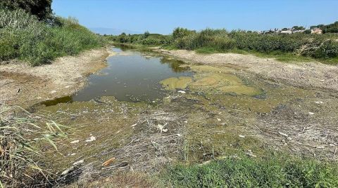Büyük Menderes Nehri Kanalındaki Balık Ölümleri İnceleniyor