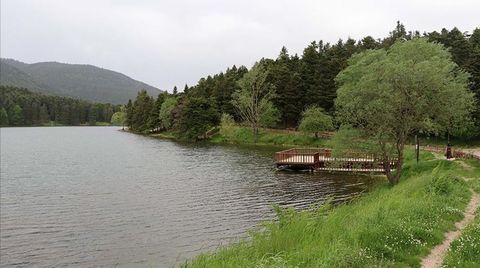 Torba Yasa Milli Parkları Yapılaşmaya Açacak