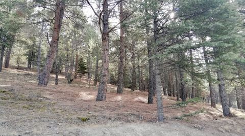 Tokat Belediyesi Ormanlık Alanı İmara Açtı