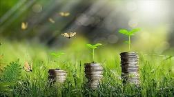 Yeşil Dönüşümün Finansmanı için Türkiye Yeşil Fonu Geliyor