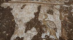 Mardin'de Deniz Canlıları Figürlü Mozaikler Bulundu