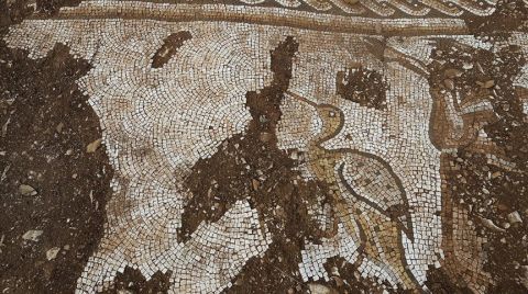 Mardin'de Deniz Canlıları Figürlü Mozaikler Bulundu