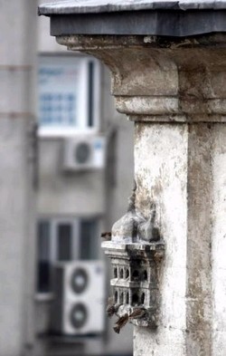 Osmanli Da Merhametin Sembolu Kus Evleri Beyaz Tarih