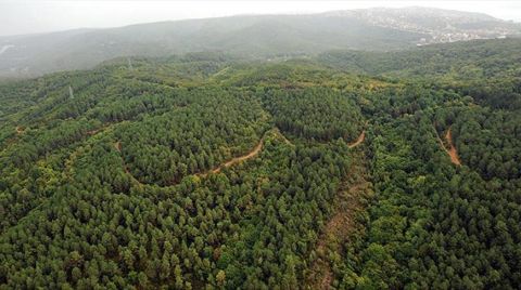 Yatağan’da İki Maden için Çalışmalar Başladı, 10 Bin Ağaç Tehlikede