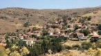 (Fotoğraf: Karaburun Yerel Fok Komitesi)