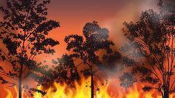 "Orman Yangınlarına 11 Dakikadan Önce Müdahale Edilebilir"
