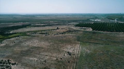 Arazi Satışında 2023'te Rekor Kırıldı