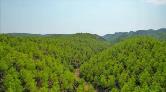 Kastamonu'da Bazı Alanlar Orman Sınırları Dışına Çıkarıldı