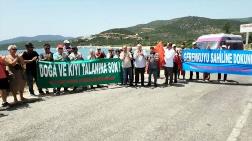 Bodrum'da Ormanlık Alana ‘ÇED Gerekli Değildir’ Kararına Tepki