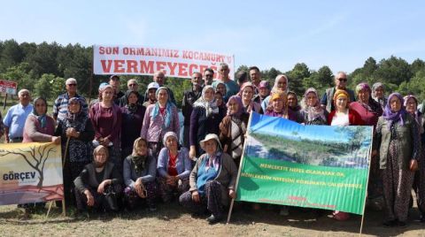 Kalemoğlu Köylüleri Ormanlarını Madene Vermiyor