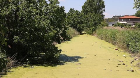 Edirne'de Vatandaşlar Bayır Deresi’nin Temizlenmesini İstiyor
