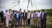 Sudan’daki Tarım Projesine Harcanan Milyonlar Çöpe Gitti