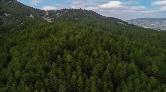 İklime Dirençli Ormancılık Projesi Başlıyor