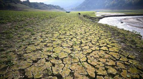 Dünya Çevre Günü’nün Teması: Arazi Restorasyonu, Çölleşme ve Kuraklığa Dayanıklılık