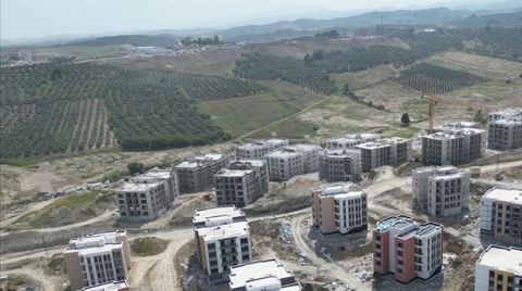 Dikmecelilerin Zeytinliklerine Yine El Konuldu