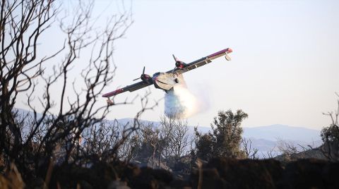 Çanakkale’deki Yangında Assos da Zarar Gördü
