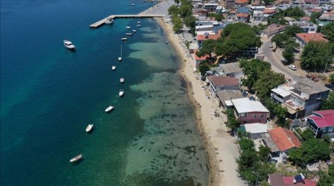 Balıkesir'de Koruma Altındaki Deniz Çayırları Söküldü