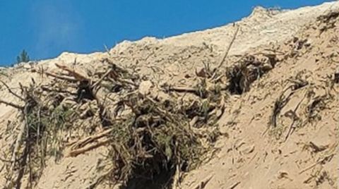 Akbelen’de Yeni Orman Katliamı İddiası