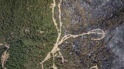 İzmir Bornova'da Yanan Orman Alanı Havadan Görüntülendi