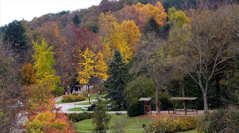 Doğaseverlerden ‘Belgrad Ormanları’ Uyarısı