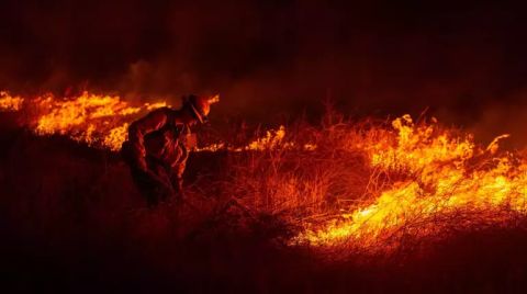 Los Angeles'ta Yangın Yeniden Başladı