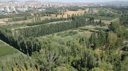 AOÇ’nin Millet Ormanına Dönüştürülmesine 2 Milyar TL Ayrıldı