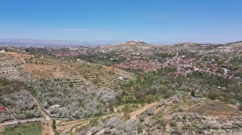 'Arazisine El Konulan Vatandaş Mahkemeye Gidebilir'