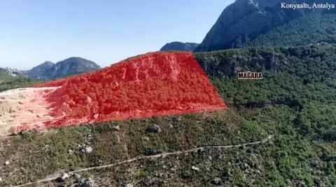 Kalker Ocağının Kaçak Ağaç Kesimi Şikâyet Edildi