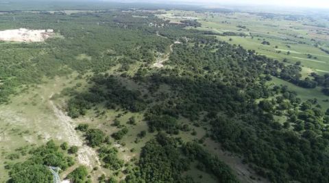 Kırklareli'de Ormanlara Girişler Yasaklandı