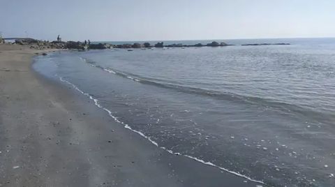 Fethiye’de Caretta Caretta Yuvaları Tehdit Altında