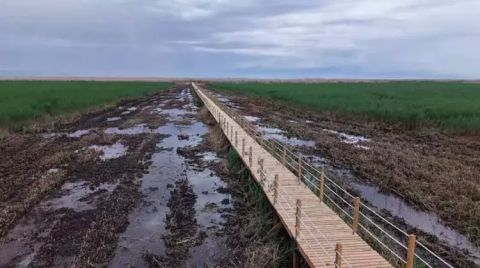 Sultan Sazlığı'nda Yürüyüş Yolu Çalışmaları Tamamlandı