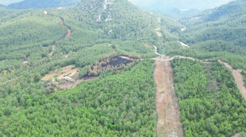 ÇED Ortada Yok; Ağaç Kesimi Başladı