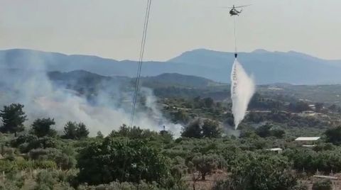 Manisa'da Yangın; 300 Dönüm Alan Kül Oldu