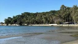 Deniz Kıyısındaki Ormanlık Alanlar Turizme Açıldı