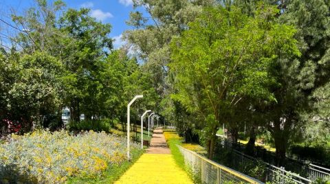 İstanbullu Yaşam Vadileriyle Nefes Alıyor