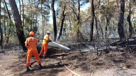 Antalya'da 5 Noktada Yangın; 4’ü Kontrol Altında