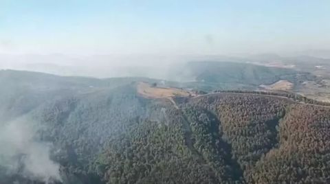 Manisa'daki Orman Yangını 3'üncü Gününde