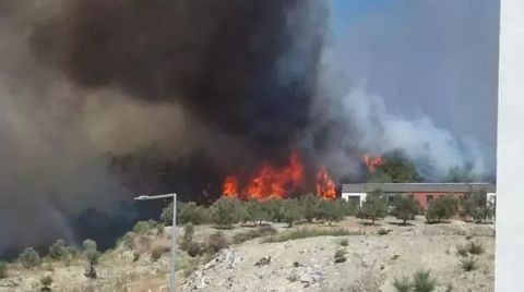 Hatay'da Orman Yangını; Evlere Sıçradı